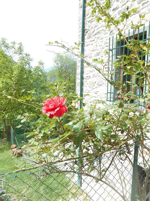 Country house La Casa Nel Bosco-Senza Auto Guest House Ponte della Venturina