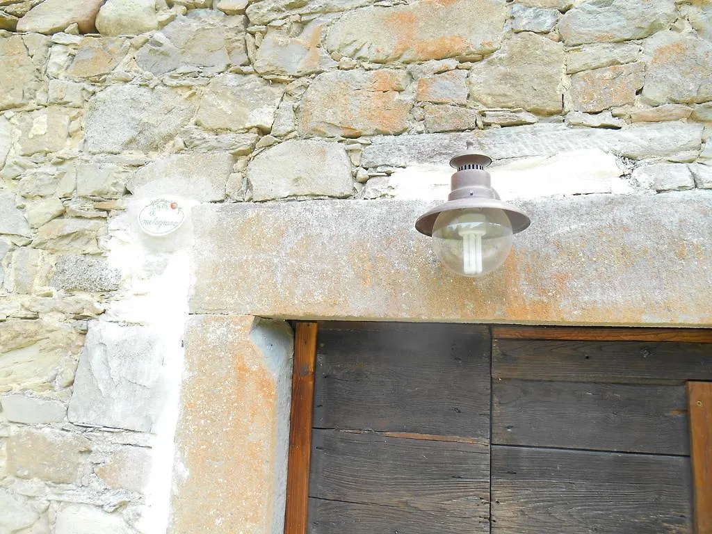 La Casa Nel Bosco-Senza Auto Guest House Ponte della Venturina Country house