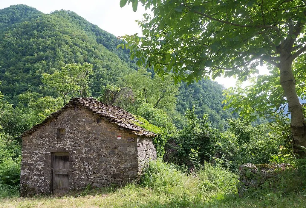 Country house La Casa Nel Bosco-Senza Auto Guest House Ponte della Venturina Italy