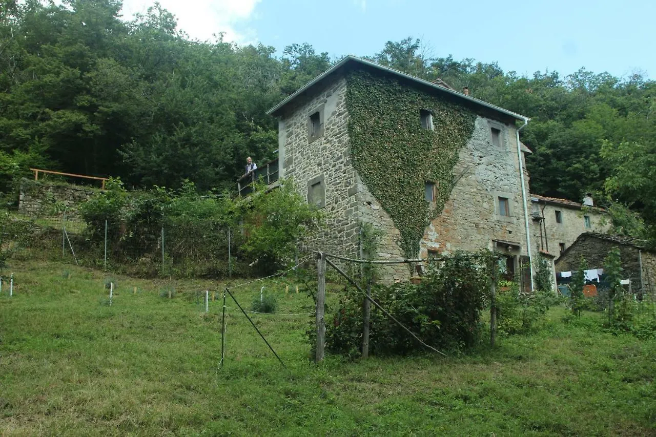 La Casa Nel Bosco-Senza Auto Guest House Ponte della Venturina 0*,  Italy