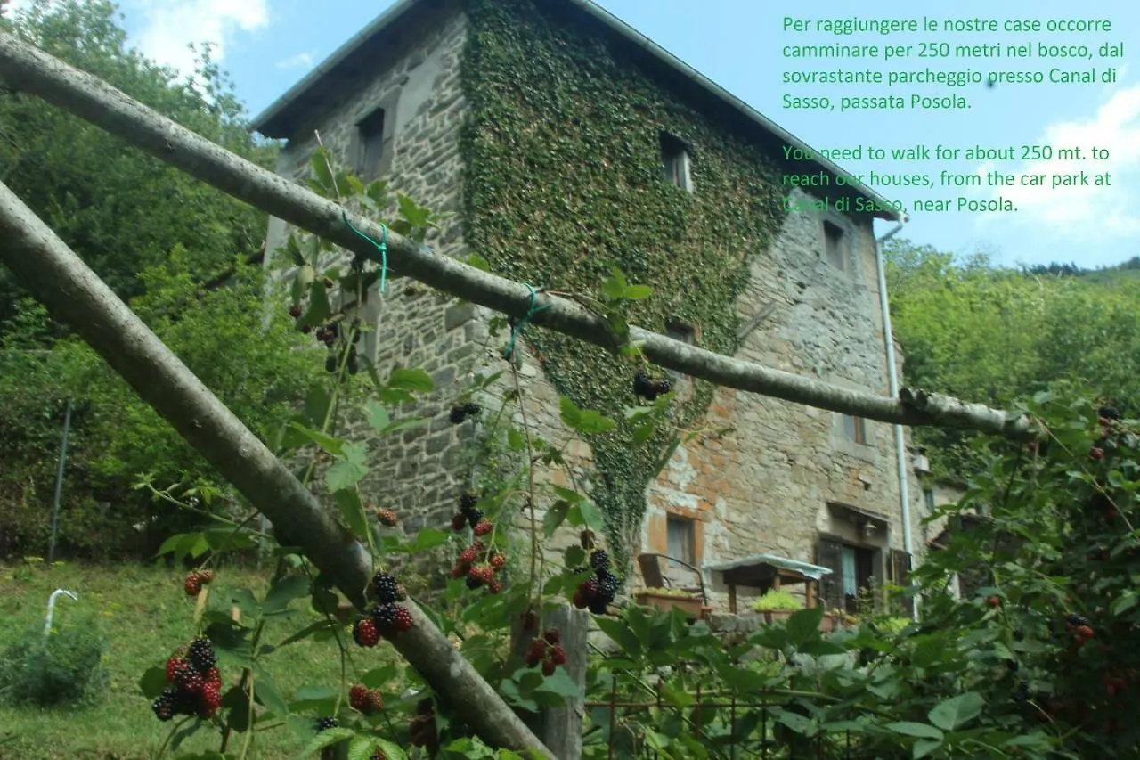 La Casa Nel Bosco-Senza Auto Guest House Ponte della Venturina Country house